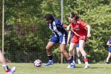 Bild 367 - wBJ Hamburger SV - Hertha BSC : Ergebnis: 5:2
